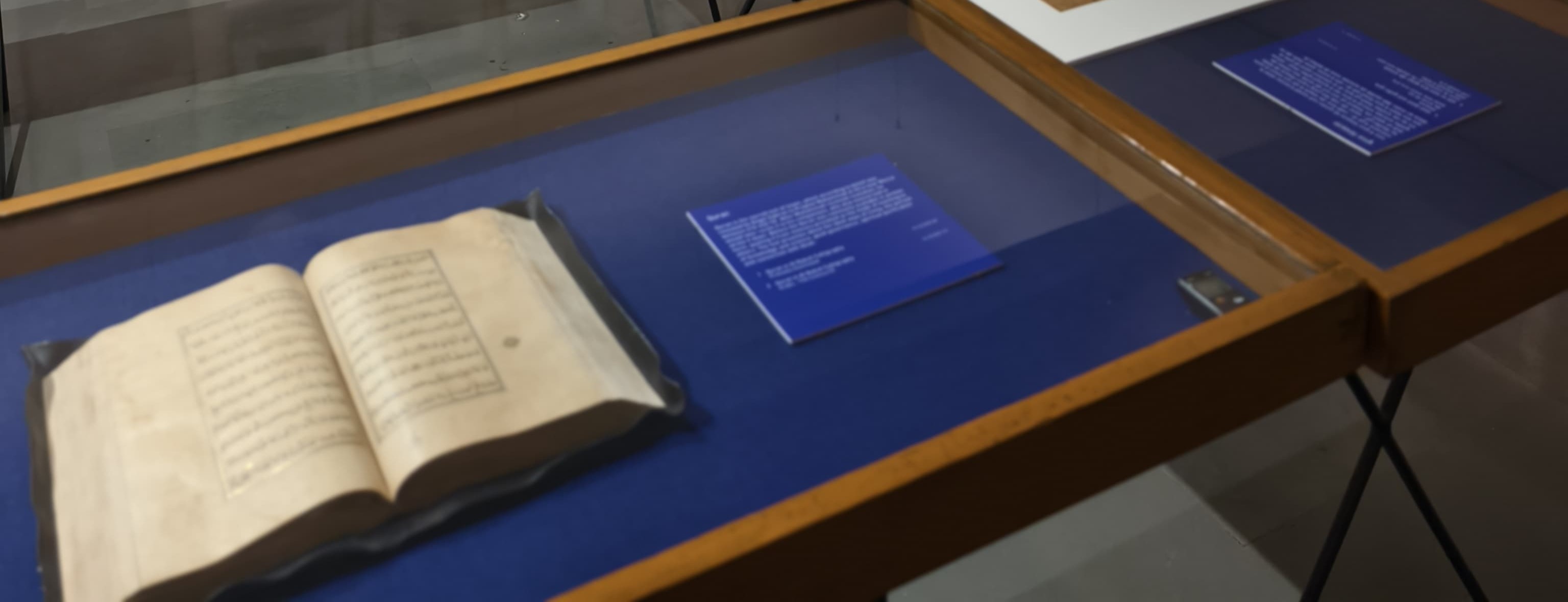 N C Mehta Collection